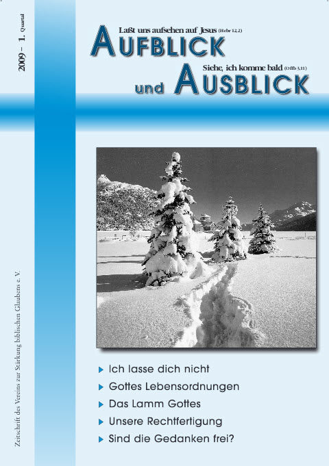 Aufblick und Ausblick 1/2009