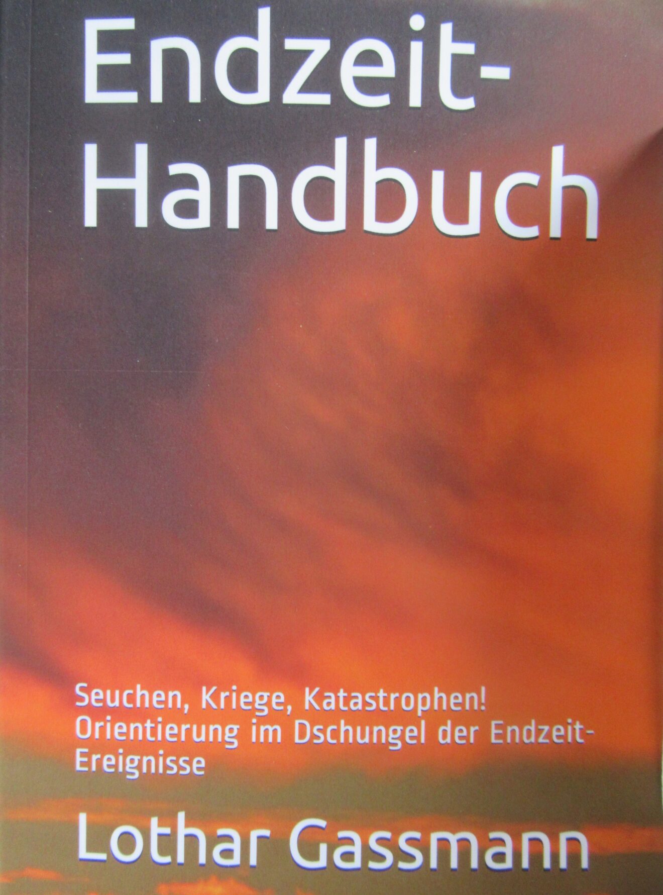 Endzeit Handbuch